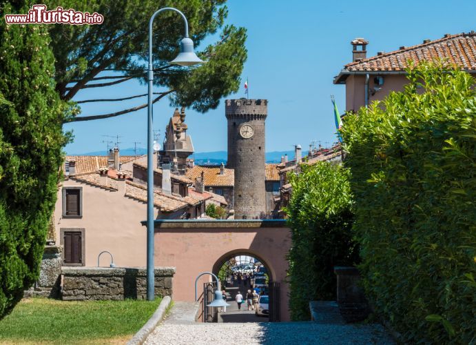 Immagine Il borgo di Bagnaia (Viterbo) conta circa 4.000 abitanti.