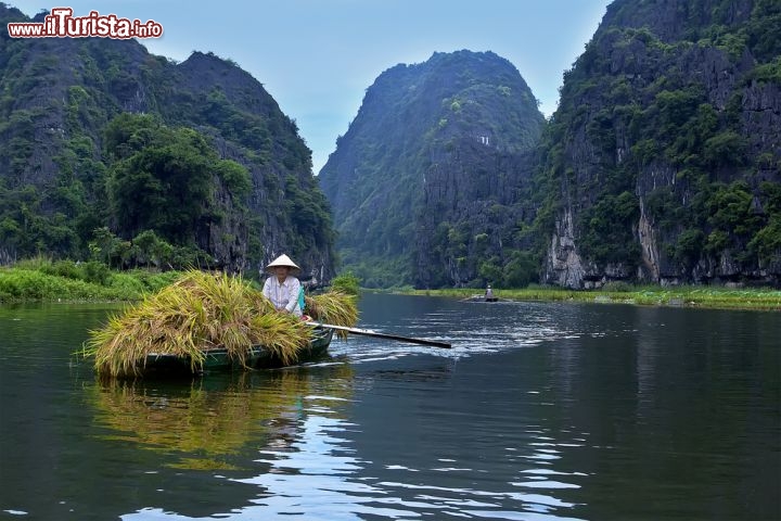 Immagine Barca con riso appena raccolto a Ninh Binh, Vietnam: gran parte del territorio della provincia di Ninh Binh è ricoperto da risaie - Foto © Piter HaSon / Shutterstock.com