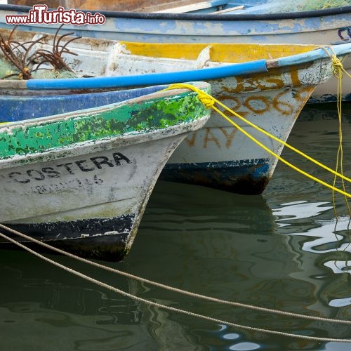Immagine Barche a Sayulita, località costiera dello stato di Nayarit in Messico - © Keith Levit / Shutterstock.com
