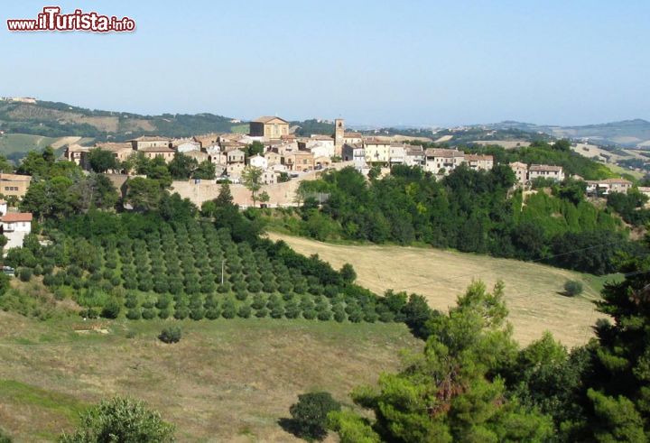 Immagine Il Borgo di Mombaroccio, panorama sulle colline marchigiane intorno a Pesaro - © Toni Pecoraro / wikipedia