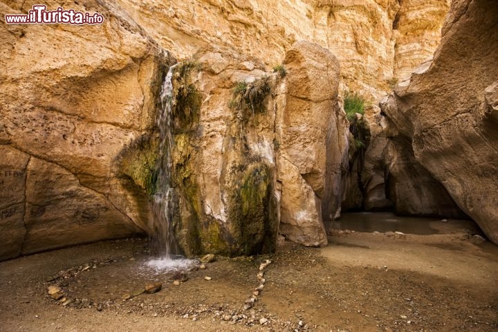 Immagine Cascata d'acqua prodotta dalla sorgente nell'oasi di Tamerza in Tunisia - © Marques / Shutterstock.com
