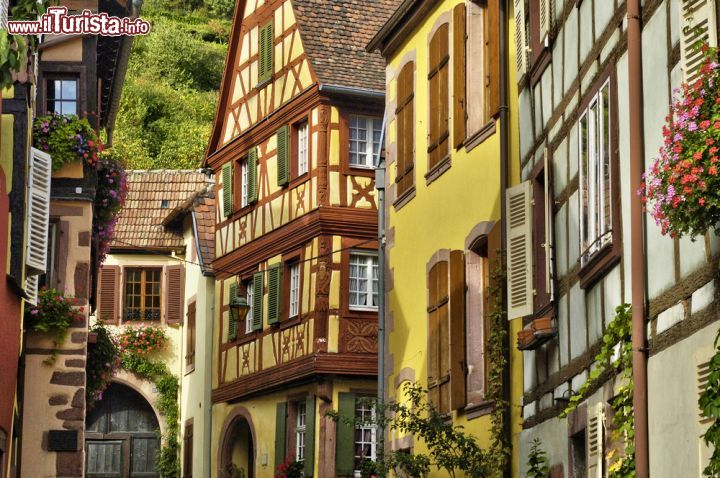 Immagine Le pittoresche case del centro di Kaysersberg. Questo piccolo borgo alsaziano conta circa 2700 abitanti e sorge a 8 km dalla città di Colmar - © Pack-Shot / Shutterstock.com