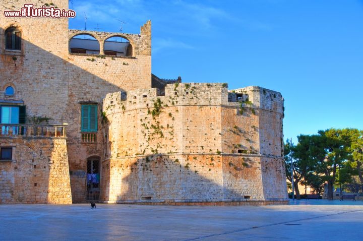 Immagine il Castello Acquaviva d’Aragona a Conversano di Puglia - © Mi.Ti. / Shutterstock.com