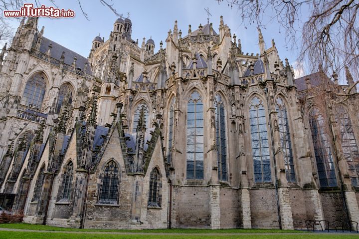 Immagine La cattredale gotica di San Giovanni (o Sint-Janskathedraal, in olandese), è la principale attrazione turistica della città di Den Bosch - foto © Rob van Esch  / Shutterstock.com