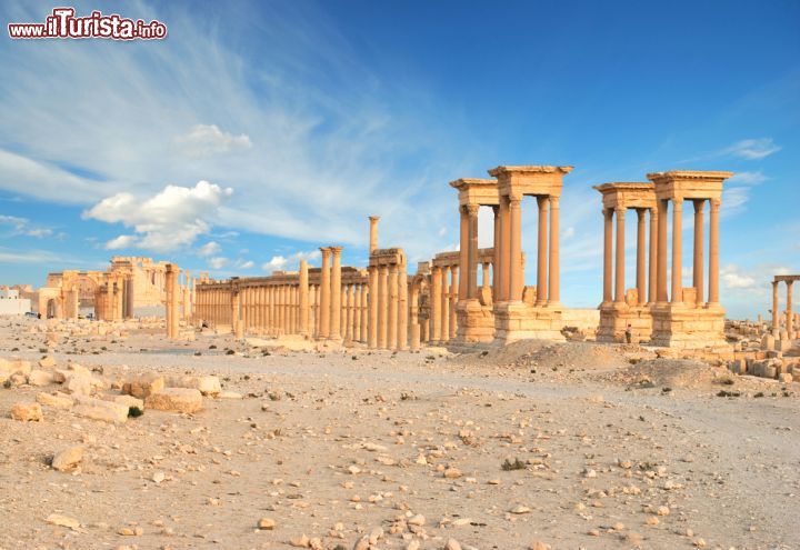 Immagine L'antica città di Palmira, nel cuore della Siria - © Waj / Shutterstock.com