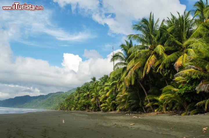 Immagine Il Corcovado National Park, la spiaggia selvaggia della penisola di Osa in Costa Rica - © Malgorzata Drewniak / Shutterstock.com
