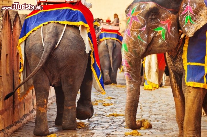 Immagine Elephant Festival a Jaipur in Rajasthan, India. Evento annuale di grande fascino.  - © Nikada / iStockphoto LP.