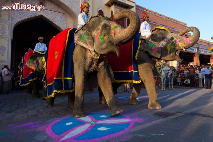 Immagine Festival degli elefanti a Jaipur in India - © ostill / Shutterstock.com