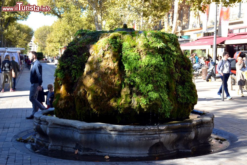 Immagine La fontana ricoperta di muschio di Aix-en-Provence, detta Fointaine moussue o Fontaine d'Eau Chaude, da cui sgorga acqua termale a una temperatura di 18°C.