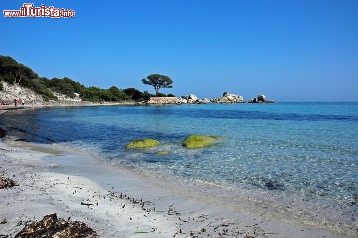 Immagine Fotografia della famosa spiaggia della Palombaggia, uno dei lidi più famosi della Corsica, situata appena a sud di Porto Vecchio - © Souchon Yves / Shutterstock.com