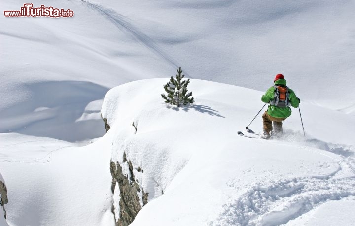Immagine Freeride, sci fuori pista sulle nevi di Les Deux Alpes - © bruno longo - www.les2alpes.com