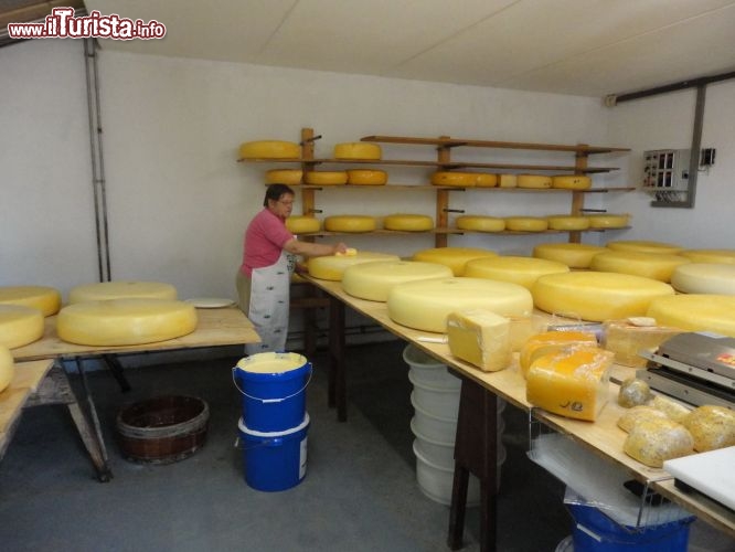 Immagine I pregiati formaggi olandesi di gouda