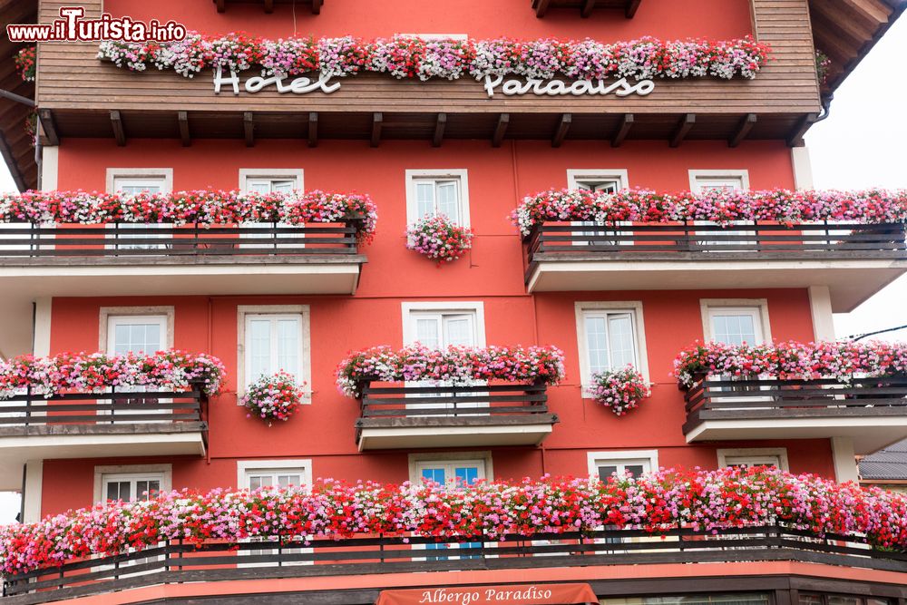 Immagine I balconi fioriti di una casa ad Aiago in Veneto