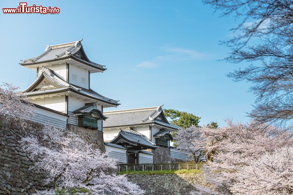 Immagine Il castello di Kanazawa in primavera, Giappone. Alla fine del Settecento venne definito il "palazzo dei mille tatami" per via della sua grandezza.