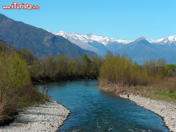 Immagine Il fiume Adda nei pressi di Morbegno Valtellina - © lsantilli / Shutterstock.com