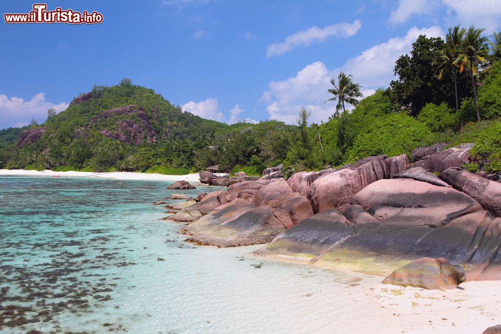 Immagine Il golfo di Baie Lazare, e la bella spiaggia dell'isola di Mahe, Seychelles