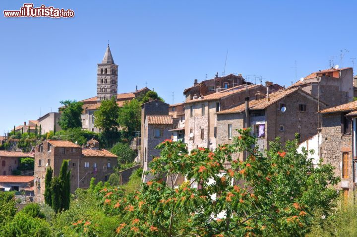 Immagine Il panorama del centro di Viterbo, la città medievale, detta dei Papi, nel nord del Lazio