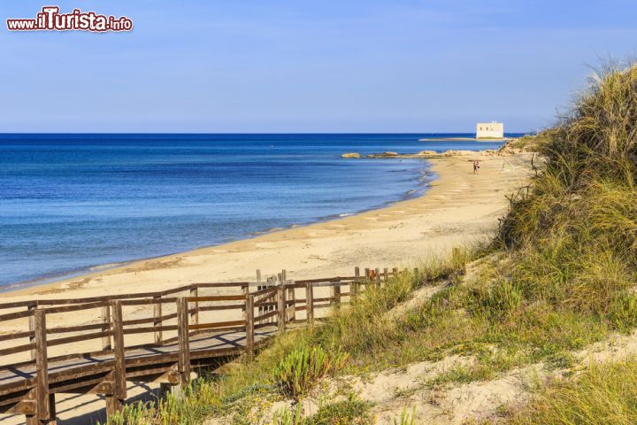 Immagine Il parco delle dune costiere l'area protetta di Torre Canne in Puglia