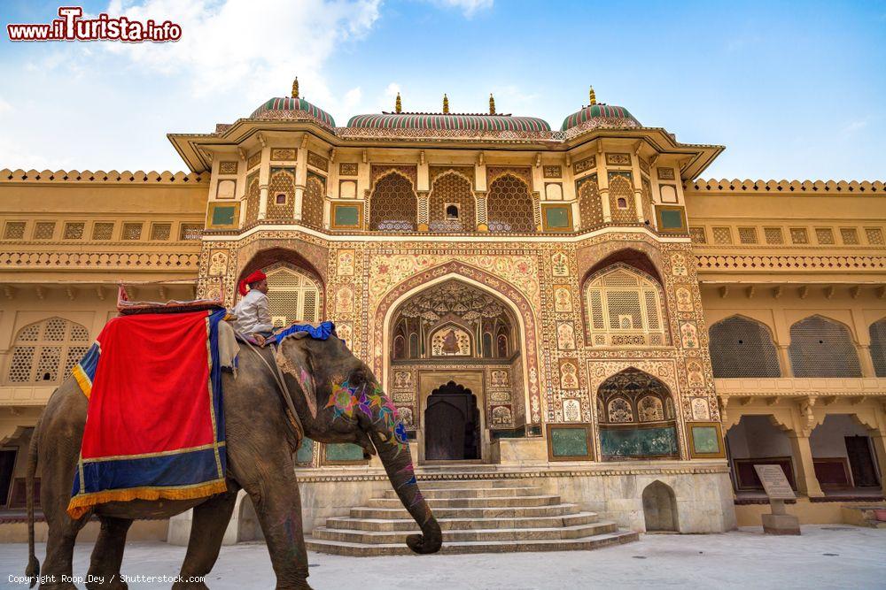 Immagine Il triangolo d'oro in India: un elefante tradizionale davanti al Forte d Amber a Jaipur. - © Roop_Dey / Shutterstock.com