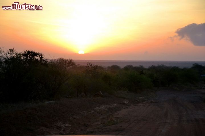 Immagine Un'alba infuocata sulla savana dello Tsavo National Park, in Kenya. L'alba e il tramonto sono i momenti migliori per avvistare gli animali.