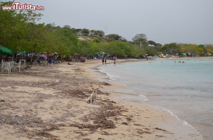 Immagine La spiaggia de La Ensenada, frequentata soprattutto dalle persone del luogo in Repubblica Dominicana