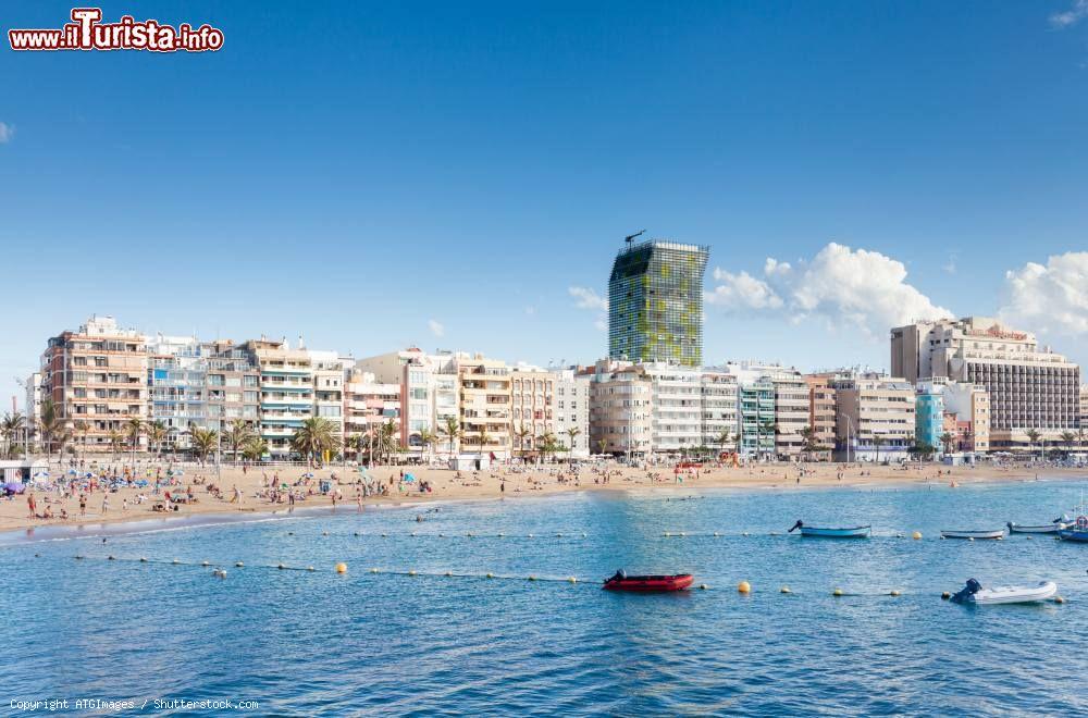 Immagine La famosa Playa de Las Canteras, la principale spiaggia di Las Palmas de Gran Canaria (isole Canarie, Spagna) - © ATGImages / Shutterstock.com