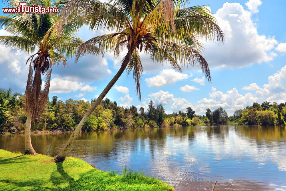 Immagine La Laguna del Tesoro è un lago che si trova nei pressi di Boca de Guamà, nella provincia di Matanzas (Cuba).