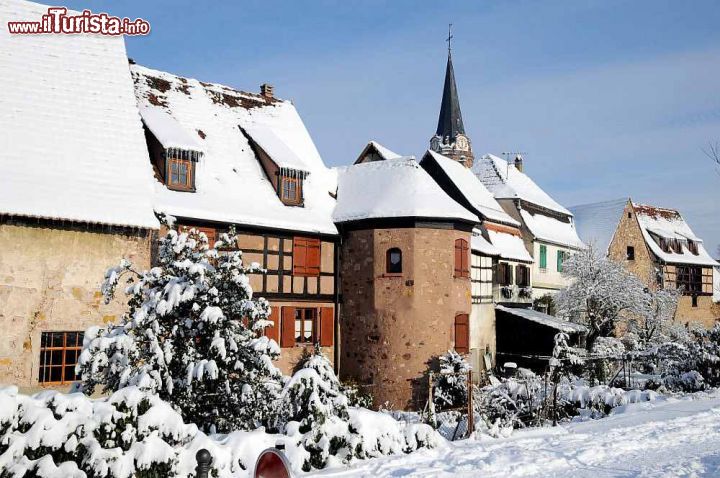 Immagine La magia di Bergheim in inverno dopo una nevicata in Alsazia - © Ufficio turismo pays de Ribeauville et Riquewihr
