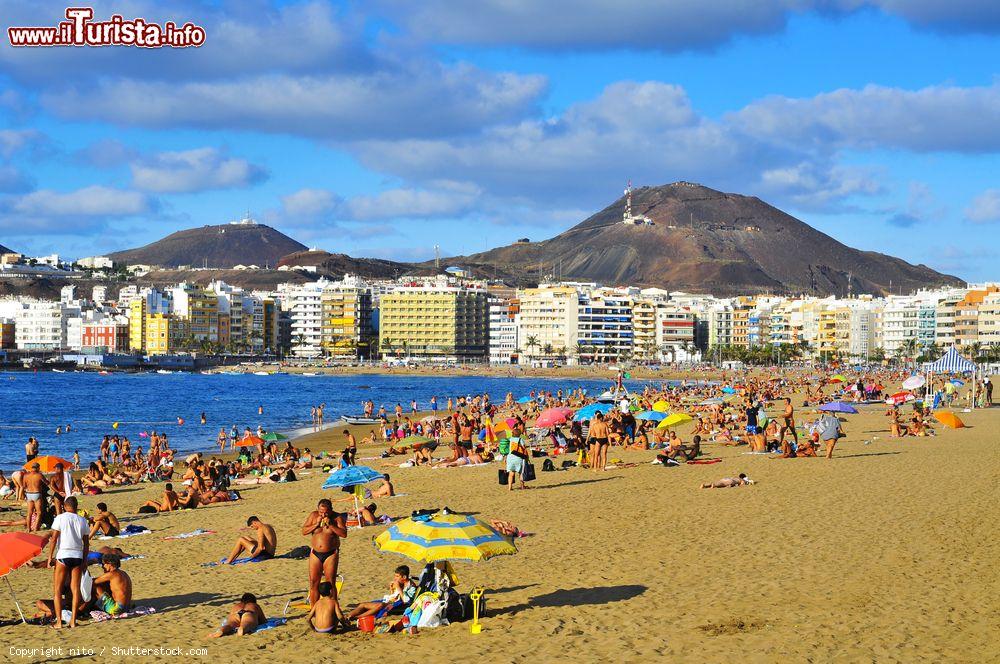 Immagine La playa de Las Canteras è la più grande spiaggia della città di Las Palmas de Gran Canaria (Spagna) - © nito / Shutterstock.com
