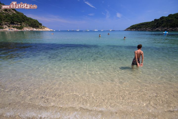 Immagine La spiaggia di Fetovaia all'isola d'Elba, con la sua sabbia di granito a grana grossa  - © Zocchi Roberto / Shutterstock.com