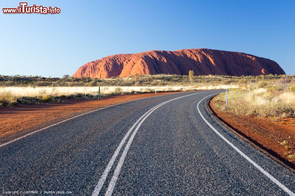 Immagine La strada che da Alice Springs conduce a Uluru-Ayers Rock in Australia - © FiledIMAGE / Shutterstock.com