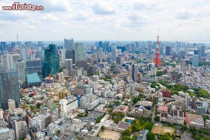 Immagine La vista del centro di Tokyo fotografato dalla torre Sky Tree. Si noti sulla destra la riproduzione della Torre Eiffel