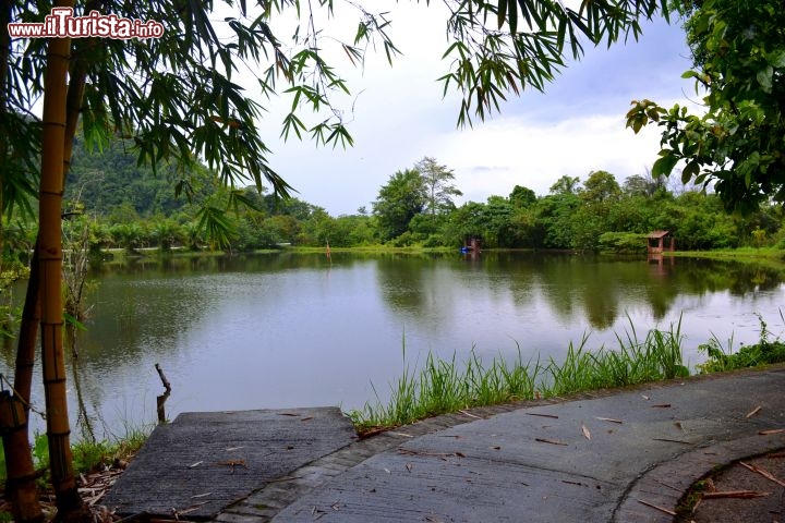 Immagine Lago presso Gua Tempurung: questo laghetto si trova proprio di fronte all'ingresso della grotta, adiacente all'area campeggio. È sfruttato anche come area divertimenti: è infatti possibile attraversarlo con una fune lungo la quale scorre una carrucola.