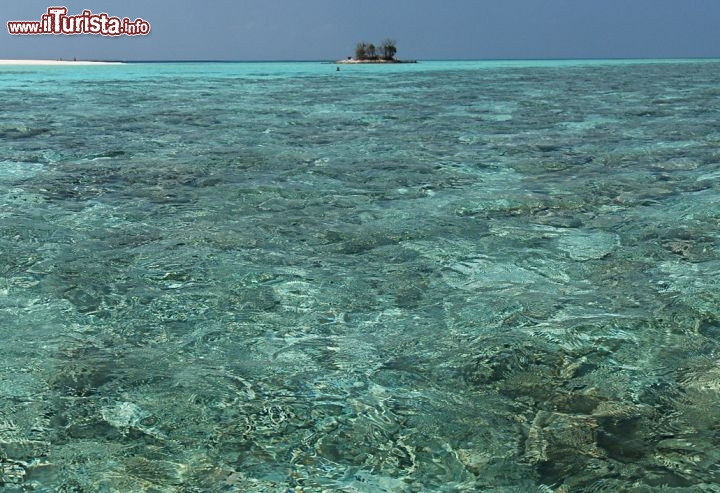 Immagine La laguna di Asdu, il mare cristallino dell'isola che si trova nell'atollo di Malé Nord alle Maldive.