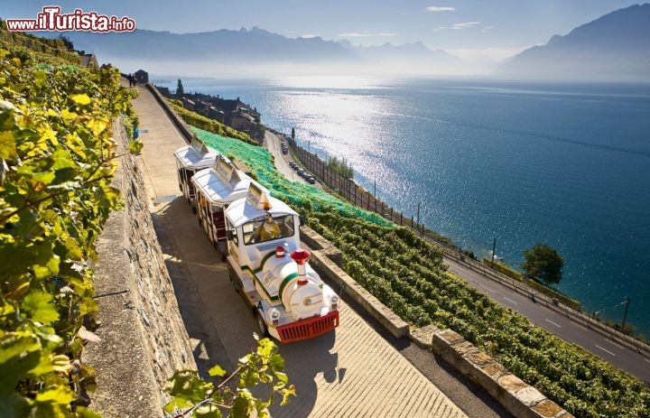 Immagine Lavaux Express, il trenino tra i vigneti terrazzati sul lago (Cortesia Svizzera Turismo).