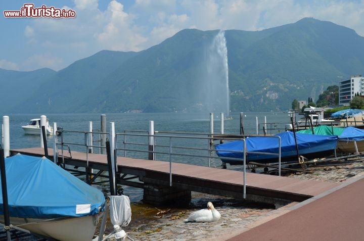 Immagine Lugano il porto del lago