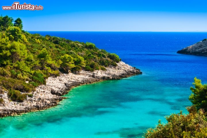 Immagine Una insenatura a Korcula, lungo la costa meridionale dell'isola della Croazia. Questo effetto stile Laguna Blu, si può ammirare in alcune calette di questa grande isola della Dalmazia - © Evgeniya Moroz / Shutterstock.com