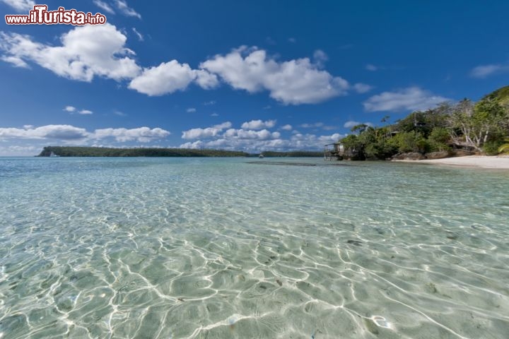 Immagine Il mare cristallino, ideale per snorkeling. è una merce comune tra le isole dell'arcipelago di Tonga - © Andrea Izzotti / Shutterstock.com