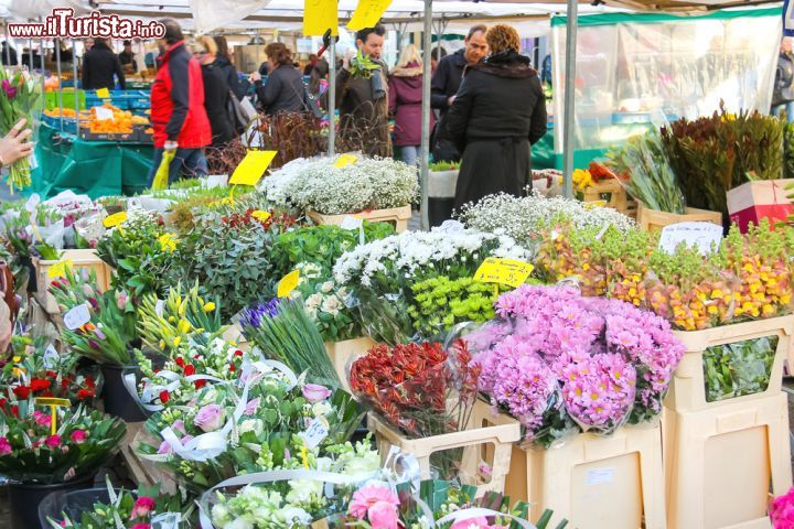 Immagine Il mercato dei fiori a Den Bosch è sempre molto colorato e frequentato; non poteva essere altrimenti, trovandosi in Olanda, il paese per dei tulipani per eccellenza - foto © Nick_Nick / Shutterstock.com
