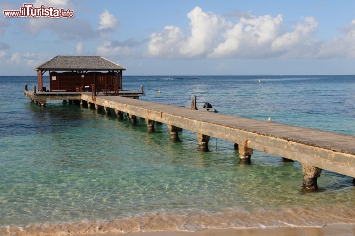 Immagine Il molo della spiaggia di Sainte Anne:  siamo lungo la costa meridionale di Guadalupa (Guadeloupe) e più precisamente lungo la cosiddetta Grande Terre - © Pack-Shot / Shutterstock.com