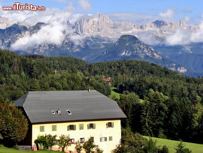 Immagine Lo splendido paesaggio dell'altopiano di Renon in Alto Adige- © Matteo Festi / Shutterstock.com
