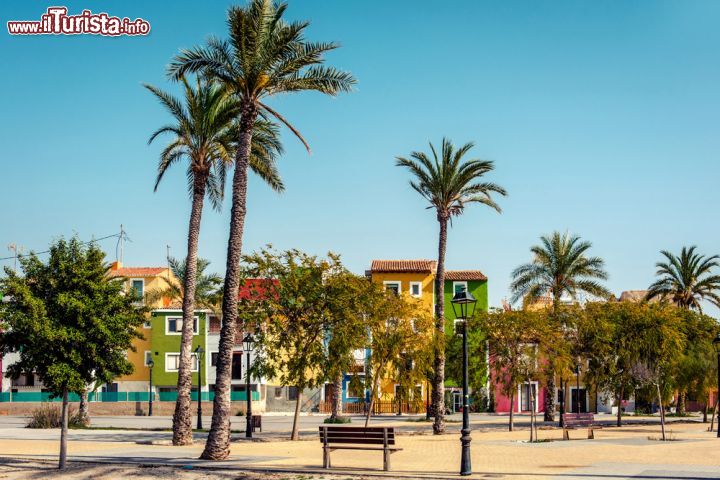 Immagine Palme sul lungomare di La Vila Joiosa, Spagna. Sullo sfondo le caratteristiche case multicolore del centro storico.