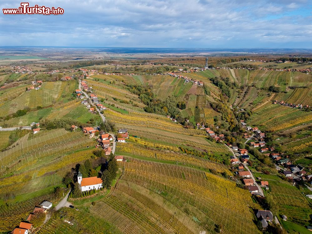 Immagine Panorama aereo della valle di Lendava, Slovenia, con i suo vigneti.