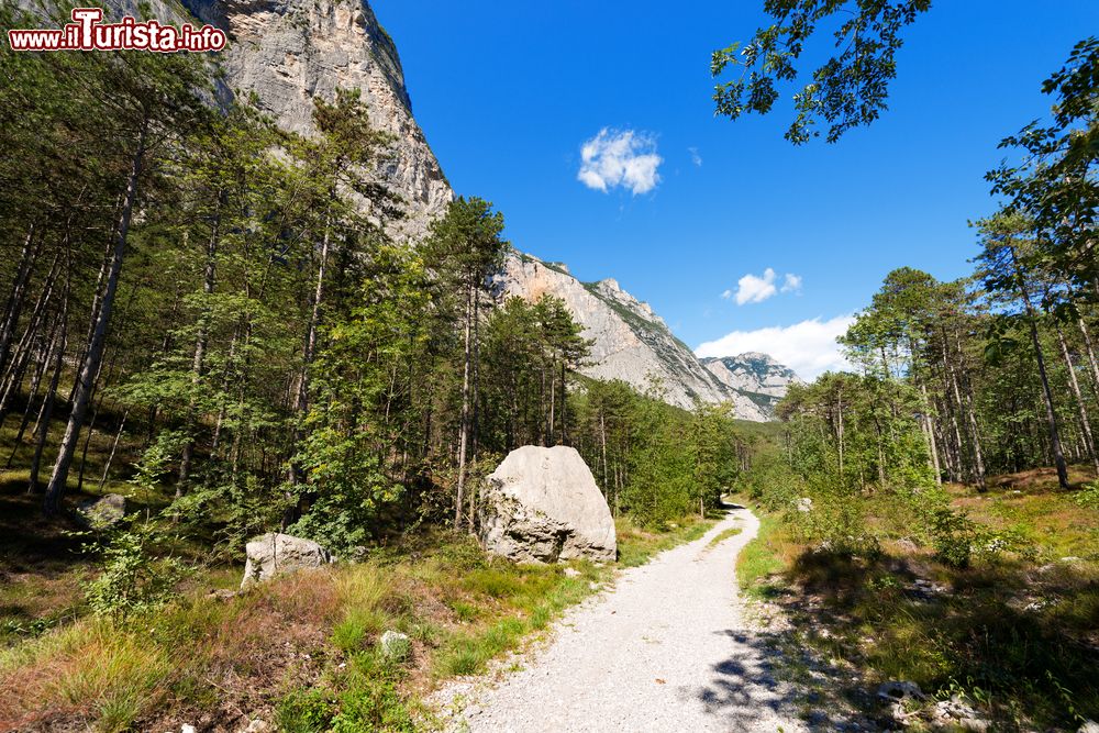Immagine Percorso nella Valle del Sarca, Trentino. A piedi e in mountain bike ci si può avventurare nella Valle del Sarca vicino a Arco e al lago di Garda. L'itinerario è molto suggestivo con scorci panoramici di grande bellezza.