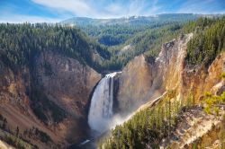 Autunno nello Yellowstone National Park: i colori del canyon del fiume Yellowstone e la grande cascata delle Lower Falls, di poco inferiore ai 100 metri di altezza - © kavram / Shutterstock.com ...