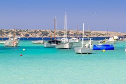 Estany des Peix, nel nord di Formentera (Baleari, ...