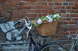 Bicicletta in Oland: un cestino ricolmo di fiori a Groningen (Paesi bassi)