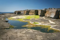 Costa rocciosa vicino Galway in Irlanda  - © Piotr Gatlik / Shutterstock.com