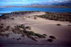 Un campo di dune di sabbia a Banì vicino a Barahona, Repubblica Dominicana - © Dominican Repubblic Ministry of Tourism