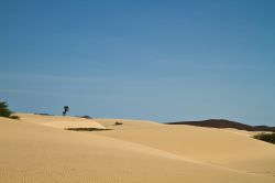 Dune di sabbia nel Deserto di Viana, all'interno dell'isola di Boa Vista, nell'arcipelago di Capo Verde - © p.schwarz / Shutterstock.com